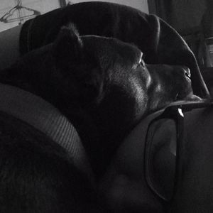 Meet your Posher, Janette